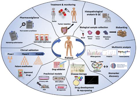 Oncology Research and Development .